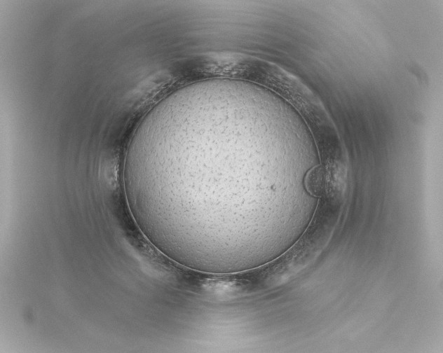 X0000115270602200911271947