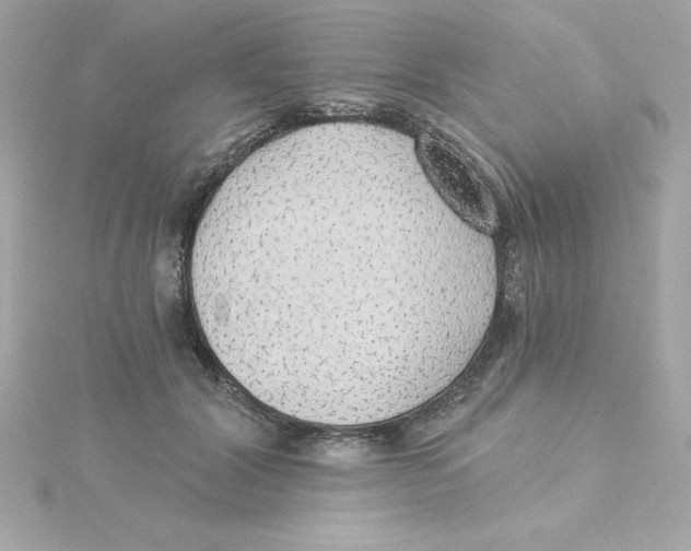 X0000115270604200911271947