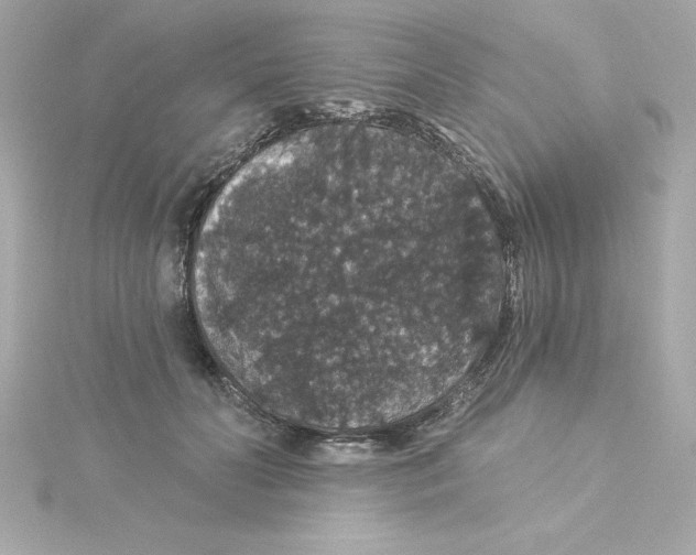 X0000115270606200911271947