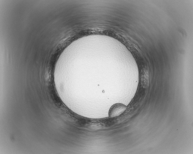 X0000115270608200911271947