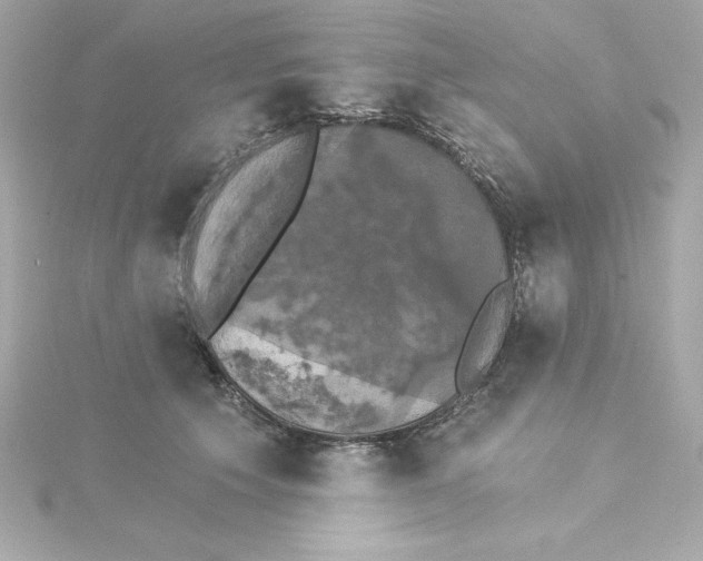 X0000115270609200911271947