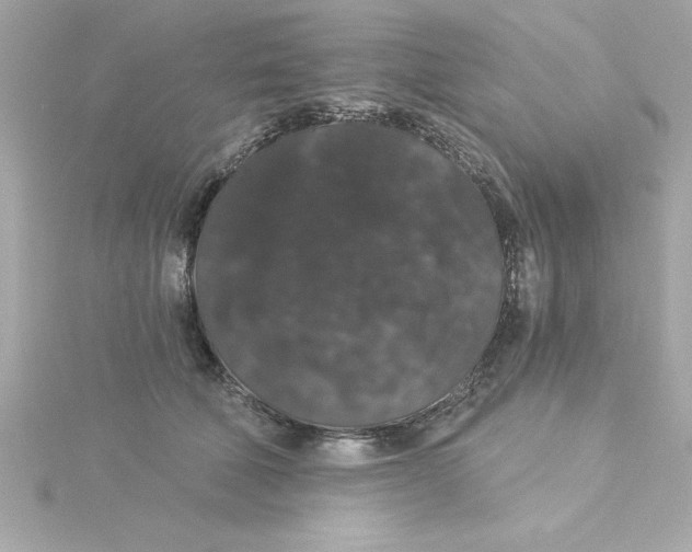 X0000115270610200911271947