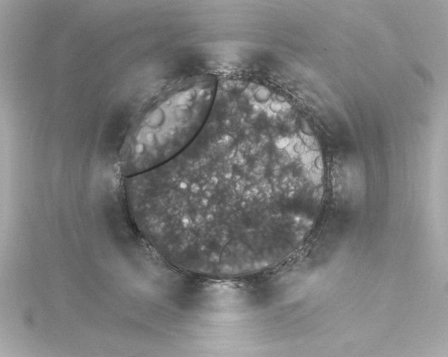 X0000115270611200911271947