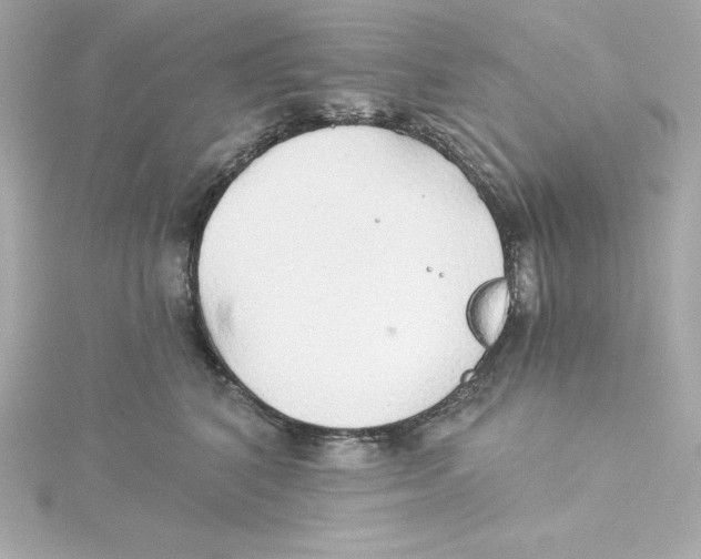 X0000115270616200911271947