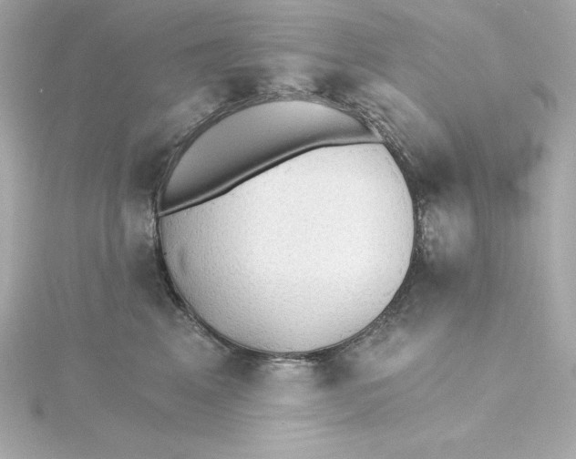 X0000115270617200911271947