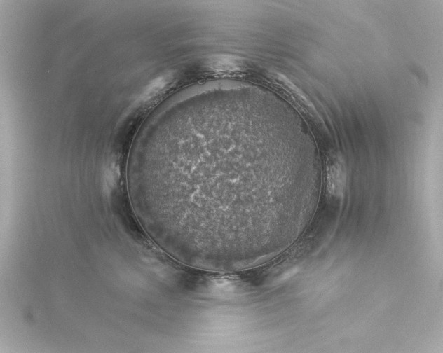 X0000115270618200911271947