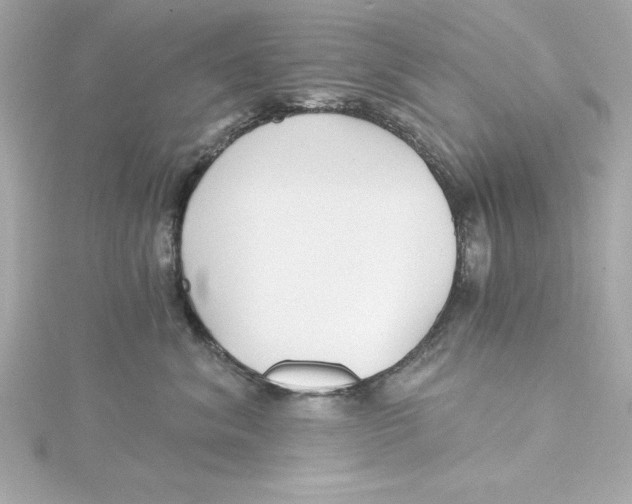 X0000115270620200911271947