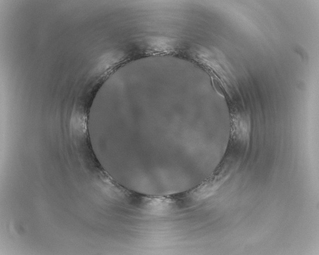 X0000115270621200911271947