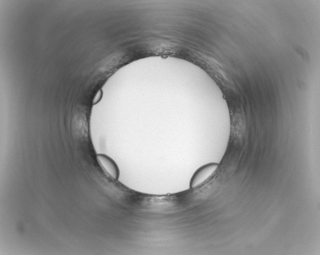 X0000115270622200911271947