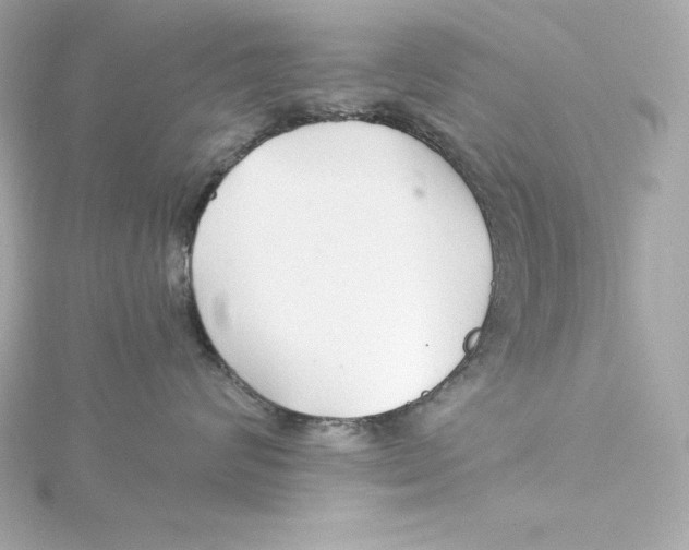 X0000115270624200911271947