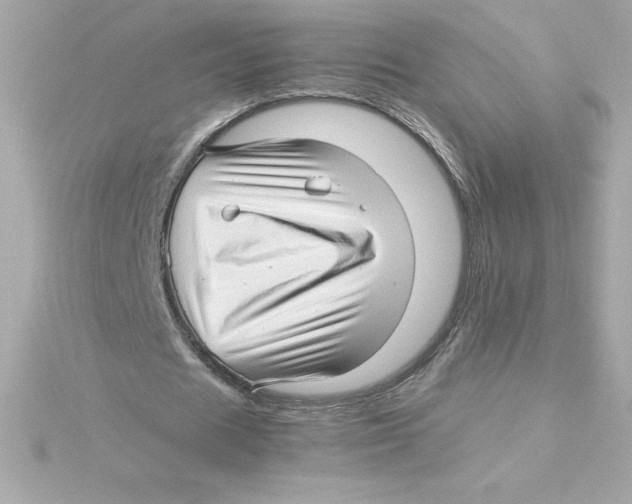 X0000115270625200911271946