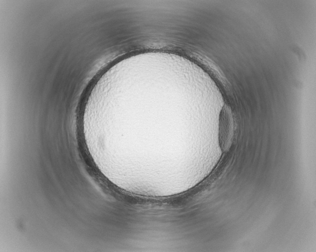 X0000115270626200911271946