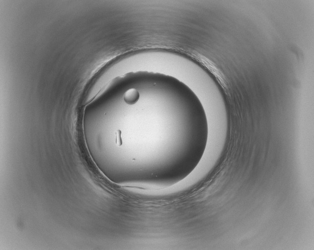 X0000115270627200911271946