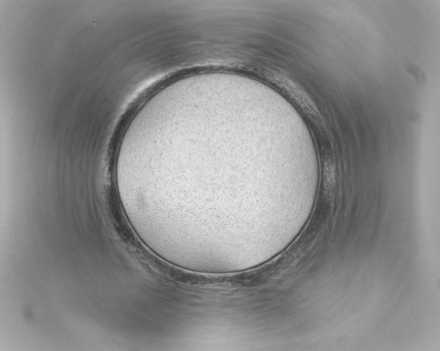 X0000115270628200911271946