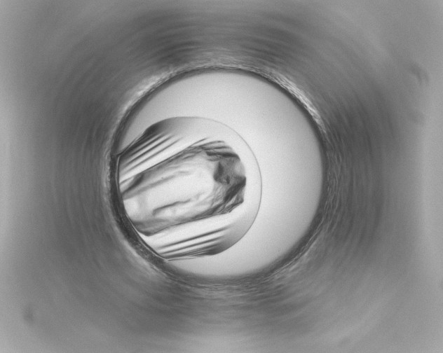 X0000115270629200911271946