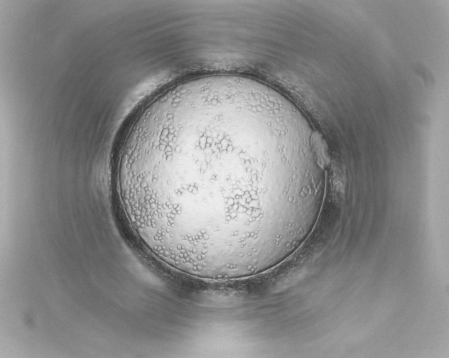 X0000115270630200911271946