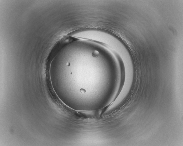 X0000115270631200911271946