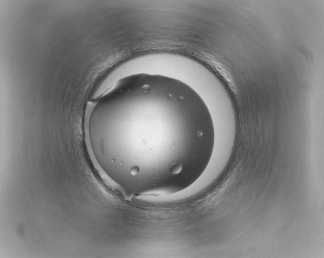 X0000115270633200911271946