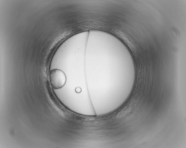 X0000115270634200911271946