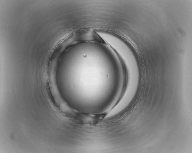 X0000115270635200911271946