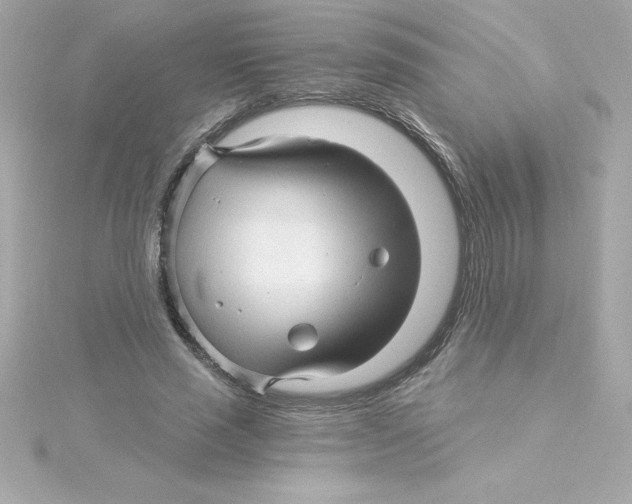 X0000115270637200911271946