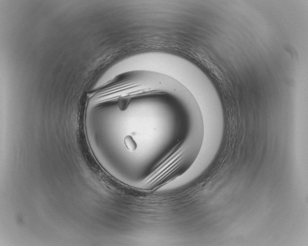 X0000115270639200911271946