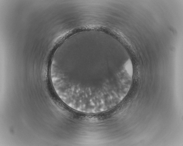 X0000115270640200911271946