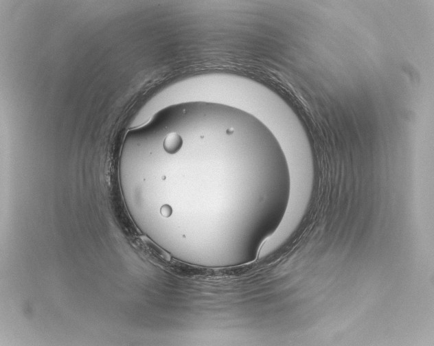 X0000115270643200911271946