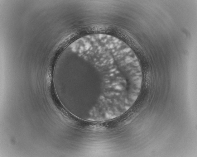 X0000115270644200911271946