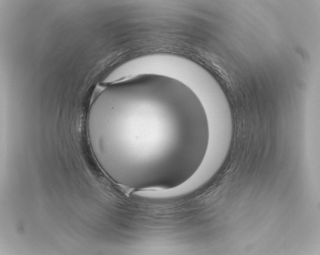 X0000115270645200911271946