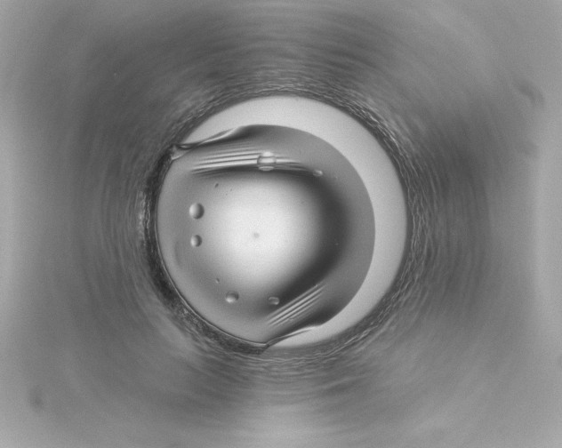 X0000115270647200911271946