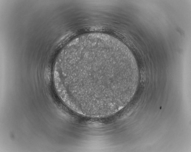 X0000115270648200911271946