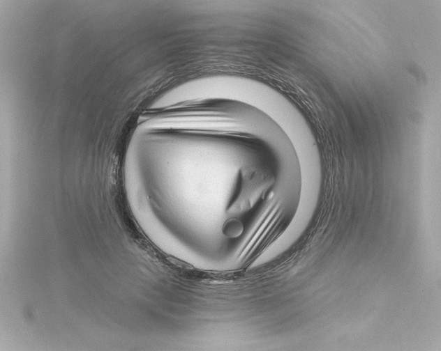 X0000115270649200911271946