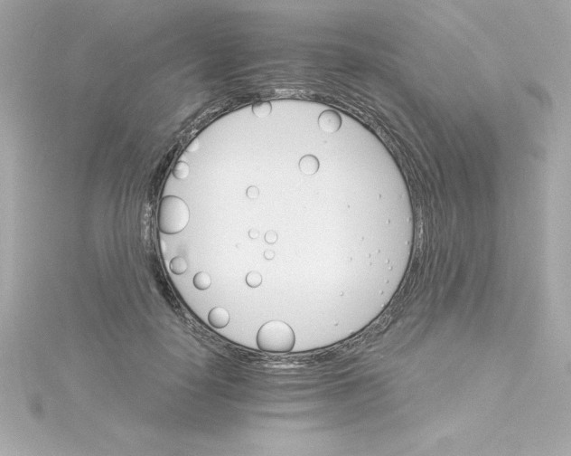 X0000115270650200911271946