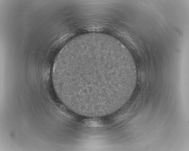 X0000115270652200911271946