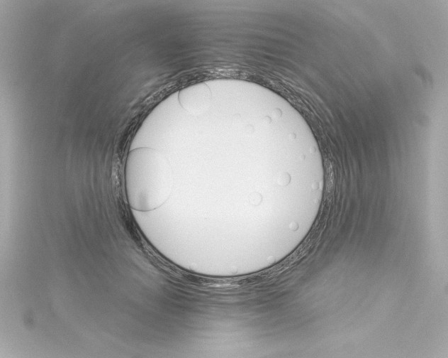 X0000115270654200911271946