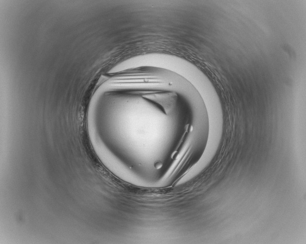 X0000115270657200911271946