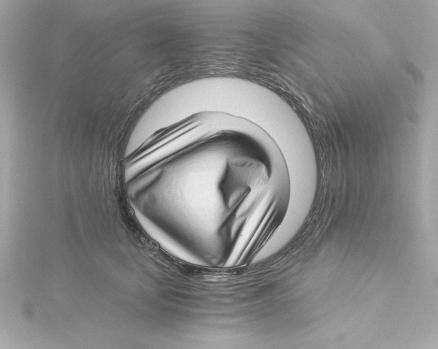 X0000115270659200911271946