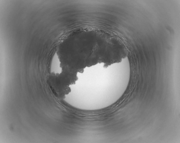 X0000115270662200911271946