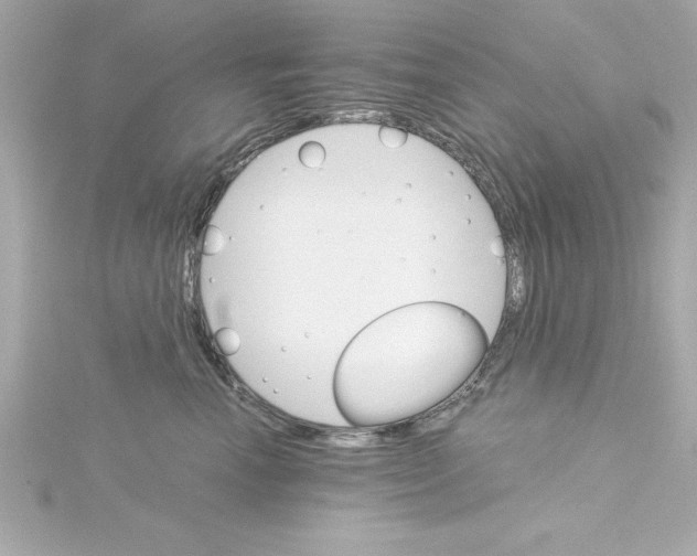 X0000115270666200911271946