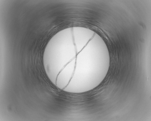 X0000115270667200911271946