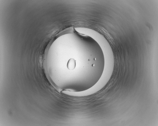 X0000115270669200911271946