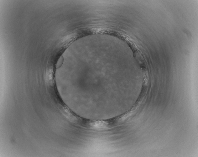 X0000115270670200911271946