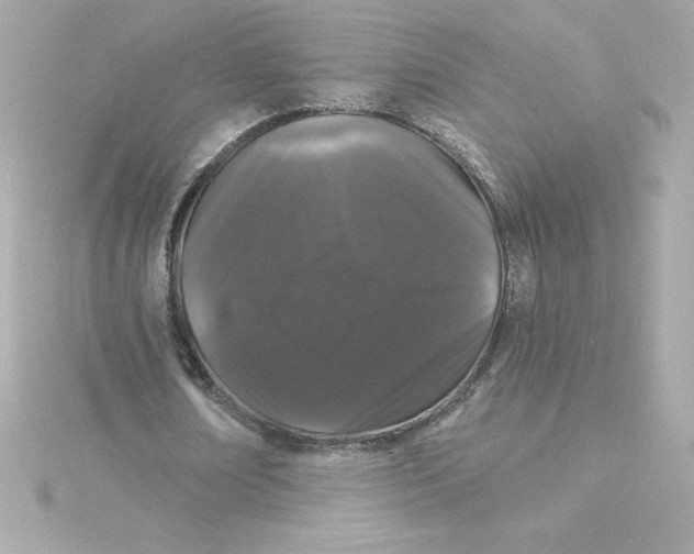 X0000115270674200911271946