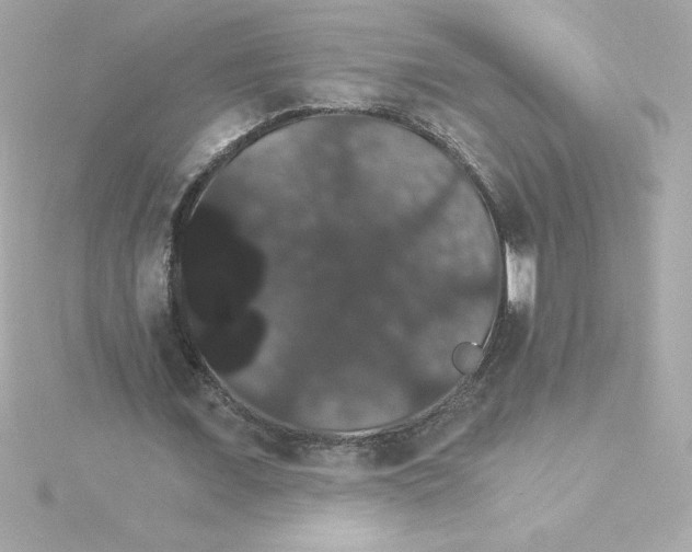 X0000115270675200911271946