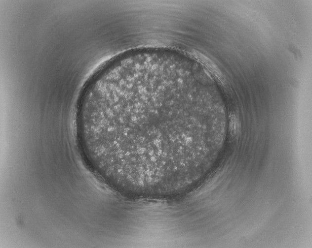 X0000115270676200911271946