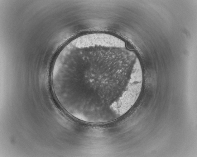 X0000115270677200911271946