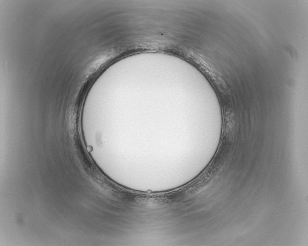 X0000115270679200911271946