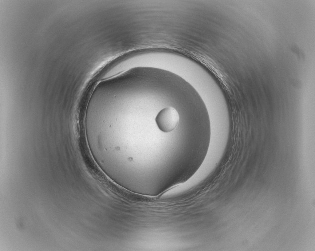 X0000115270680200911271946