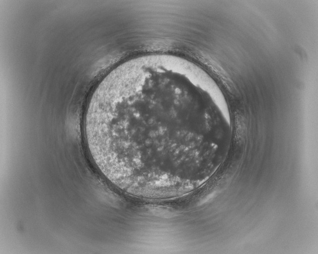 X0000115270681200911271946